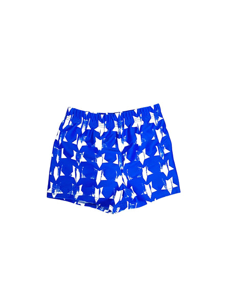 Undercover Waterwear Women's Swim Shorts- Athletic Compression Shorts- UPF  50 Ladies Boardshorts